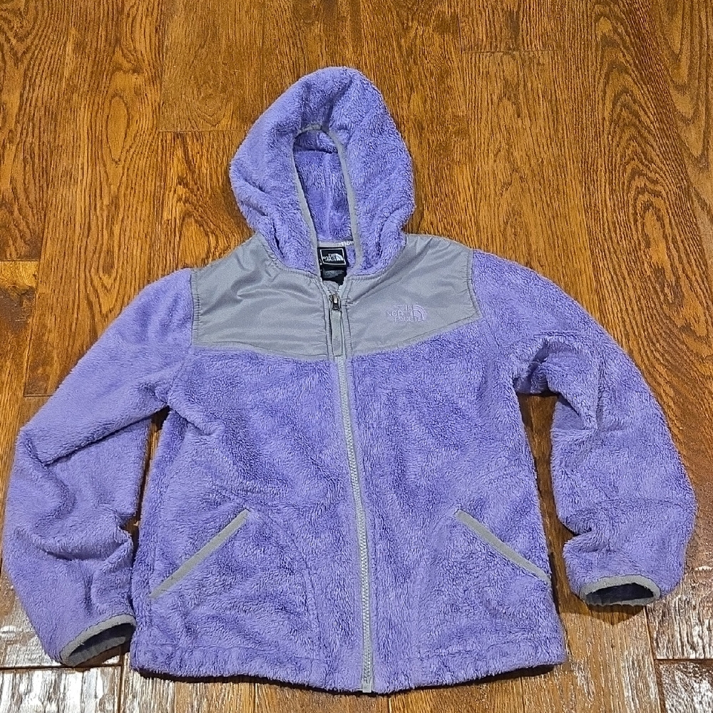 The North Face Purple and Gray Fleece Jacket